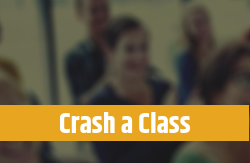 Crash a Class_Sandler Training Edmonton, Alberta